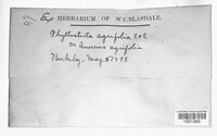 Image Associated With the Occurence